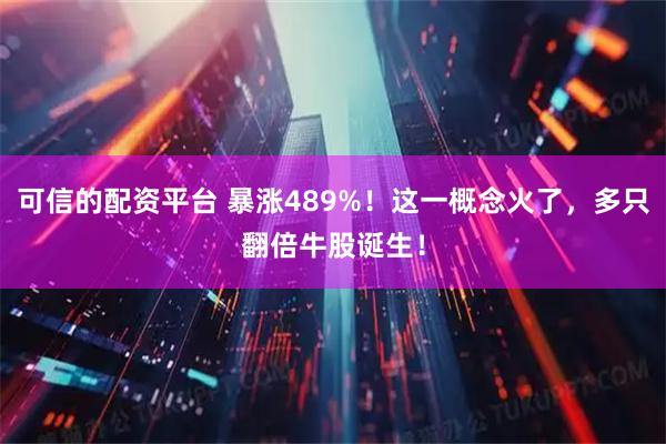 可信的配资平台 暴涨489%！这一概念火了，多只翻倍牛股诞生！